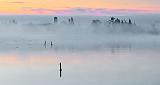 Fogged In Farm_P1210958-60